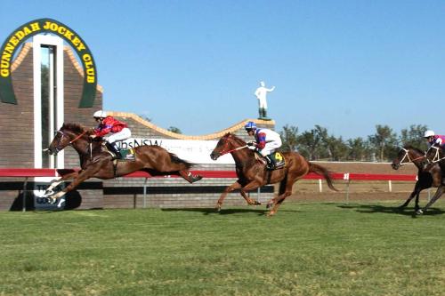 Gunnedah-horse-jump-Bradleys