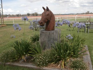 horse head